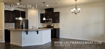 233 Traphill Dr in Morrisville, NC - Building Photo - Building Photo