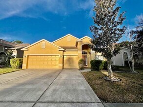 11453 Belle Haven Dr in New Port Richey, FL - Building Photo - Building Photo