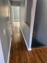 528 Louisiana Ave in Brooklyn, NY - Building Photo