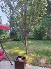 3704 McGuffey Rd in Columbus, OH - Building Photo - Building Photo