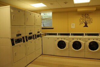 11 Camelot Ct in Boston, MA - Foto de edificio - Building Photo