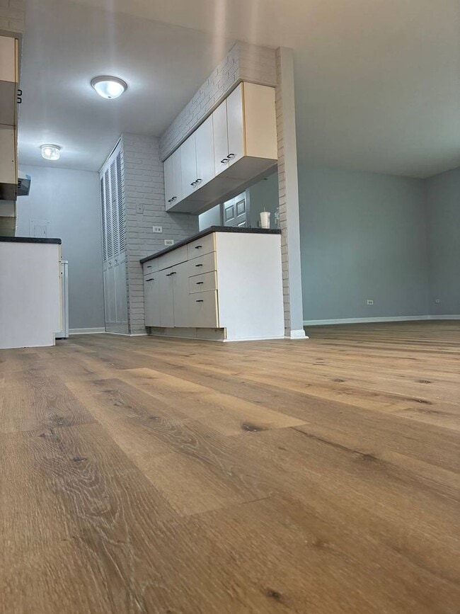 20115 Ash Ln in Lynwood, IL - Building Photo - Building Photo