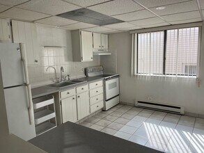 1030 SOUTH DUNLOP in Forest Park, IL - Building Photo - Building Photo