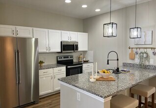 443 Olive Branch Way in Oxford, MS - Building Photo - Building Photo