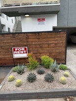 3337 S Durango Ave in Los Angeles, CA - Building Photo