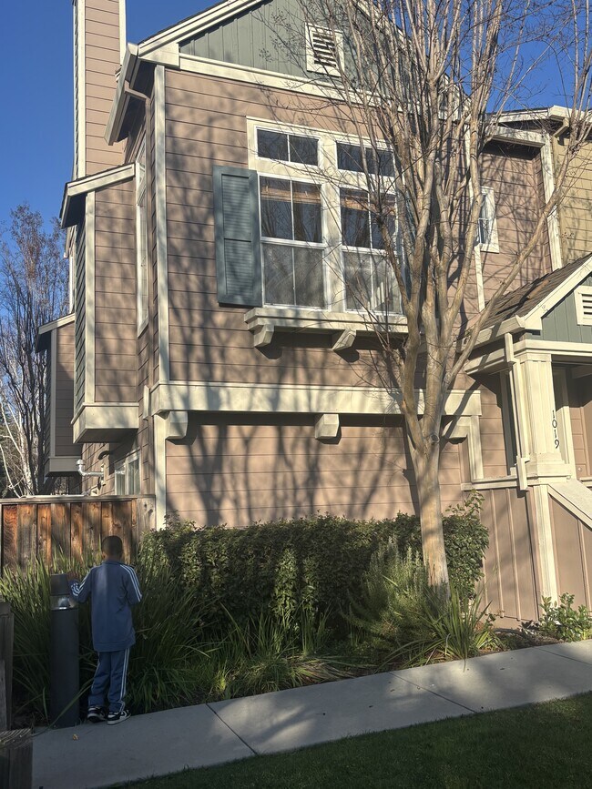 property at 1013 Fuller Terrace