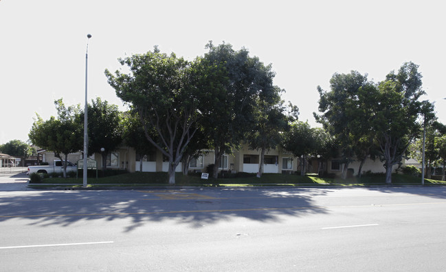 Citrus Court Apartments in Cypress, CA - Building Photo - Building Photo