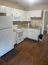 435 N Fairview Ave in DeLand, FL - Building Photo - Building Photo