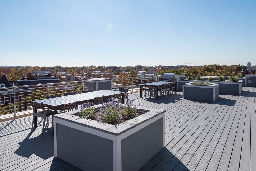 The Maryland in Washington, DC - Building Photo