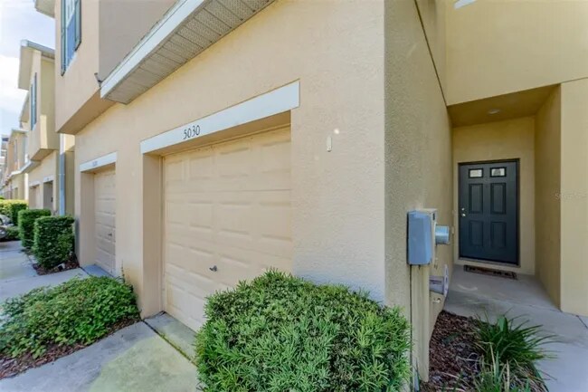 5030 White Sanderling Ct in Tampa, FL - Building Photo - Building Photo