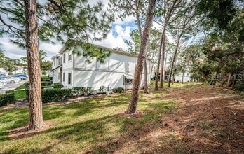 416 Meadow Ln in Oldsmar, FL - Building Photo - Building Photo