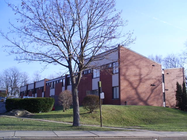 Mountainview Apartments in Pittsburgh, PA - Building Photo