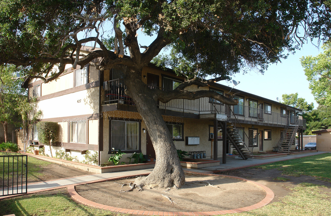 427 Ojai Rd in Santa Paula, CA - Building Photo