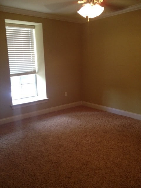 property at 1290 Park Blvd