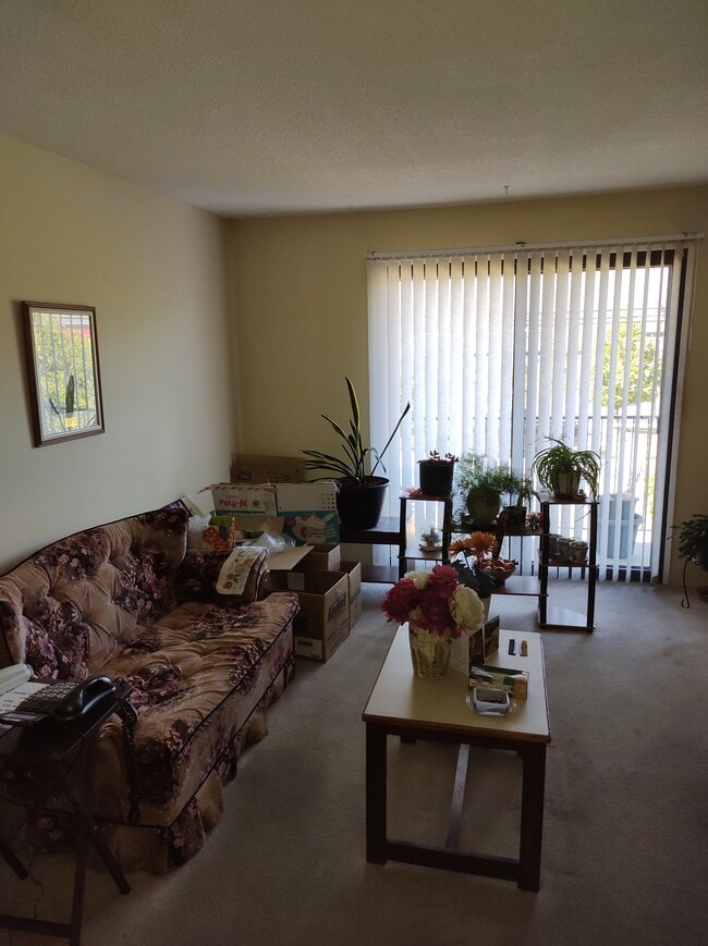 property at 60 Shuswap St N