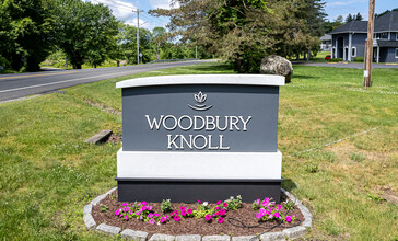 Woodbury in Woodbury, CT - Building Photo - Building Photo