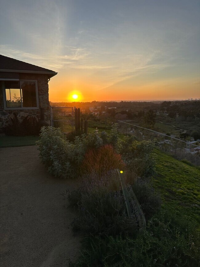 property at 3264 Holly Way