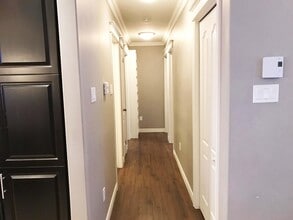 12 Stephano St in St John's, NL - Building Photo - Building Photo