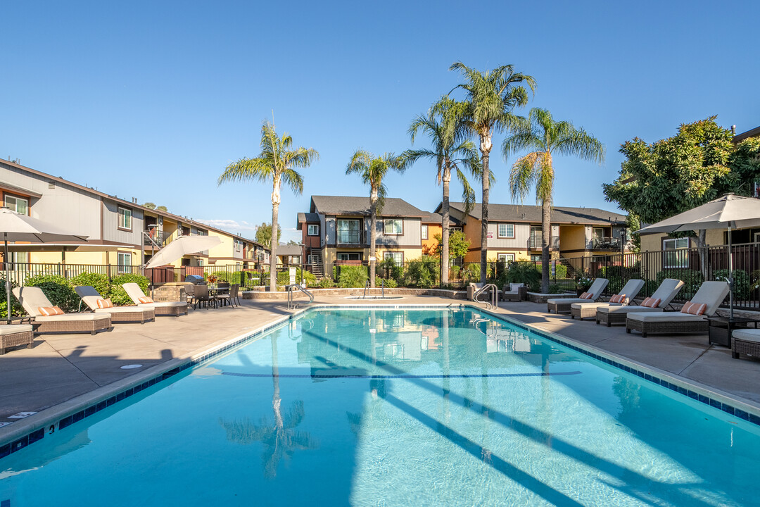 Raintree Apartments in Highland, CA - Building Photo