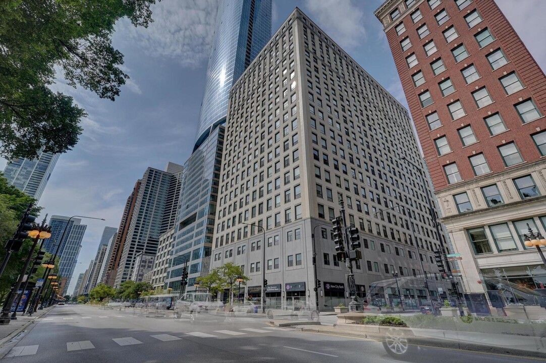 910 S Michigan Ave in Chicago, IL - Building Photo