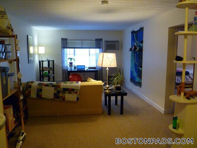 8 Brattle Dr, Unit 5 in Arlington, MA - Foto de edificio - Building Photo