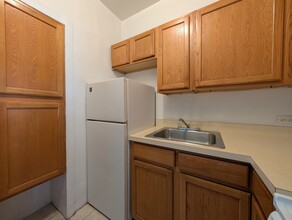 1160 N Dearborn St, Unit 209 in Chicago, IL - Building Photo - Building Photo