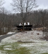 573 Centre St in Pocahontas, VA - Building Photo