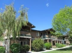 Brooktree Apartments in Reno, NV - Building Photo - Building Photo