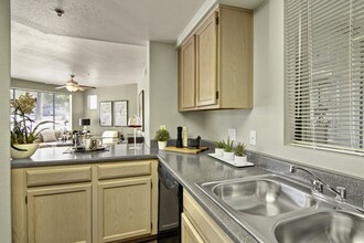 Mirador in Phoenix, AZ - Building Photo - Building Photo