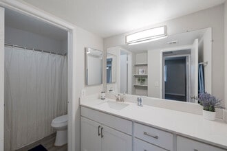 Ventana Palms in Phoenix, AZ - Building Photo - Interior Photo