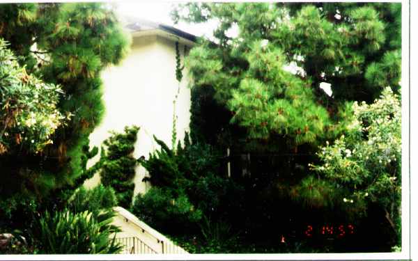 748-752 Amigos Way in Newport Beach, CA - Building Photo - Building Photo