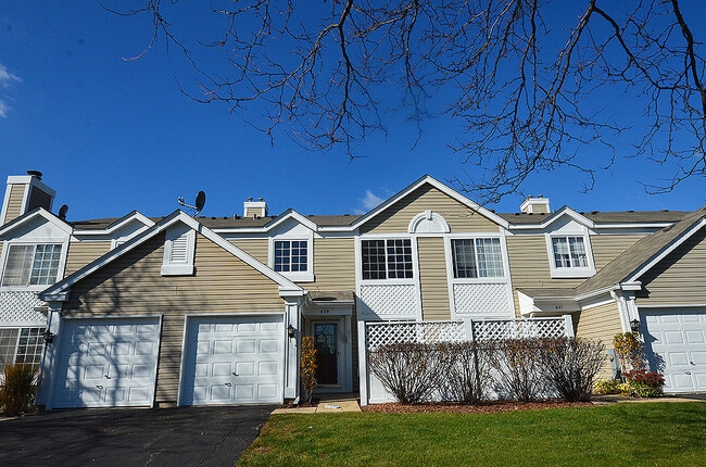 439 Valley Forge Ct in Aurora, IL - Building Photo - Building Photo