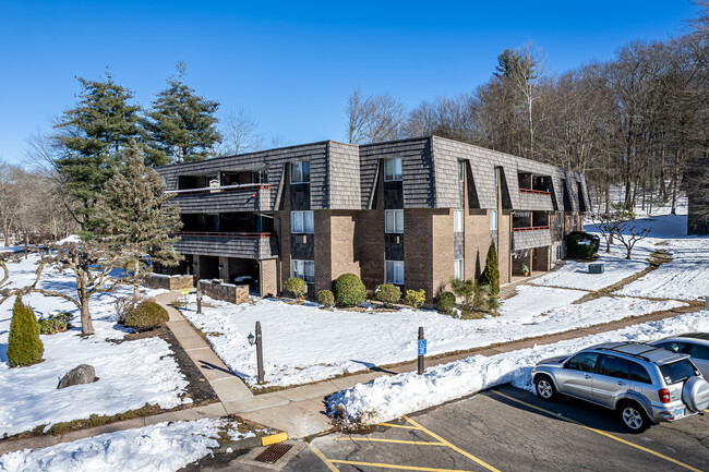 11 Rambling Brook Ln in Glastonbury, CT - Building Photo - Building Photo