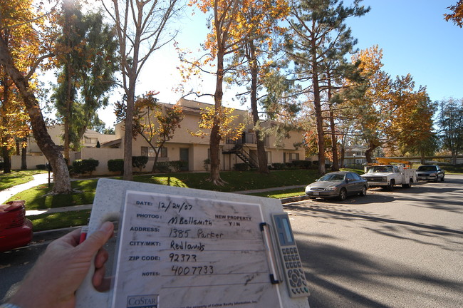 Brookside Apartments in Redlands, CA - Building Photo - Other