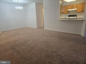 7516 Snowpea Ct in Alexandria, VA - Building Photo