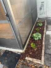 3801 Crown Point Rd, Unit 1332 in Jacksonville, FL - Building Photo - Building Photo