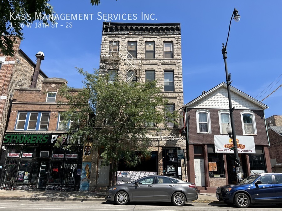 1316 W 18th St in Chicago, IL - Building Photo