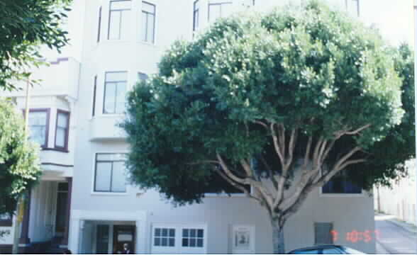 1610-1612 Hyde St in San Francisco, CA - Building Photo