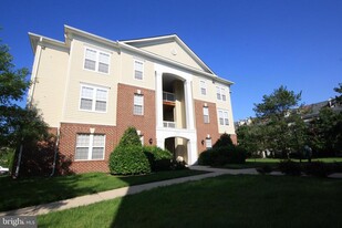 22691 Blue Elder Terrace in Brambleton, VA - Building Photo