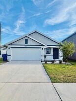 4515 Sand Dollar Wy in Zephyrhills, FL - Building Photo