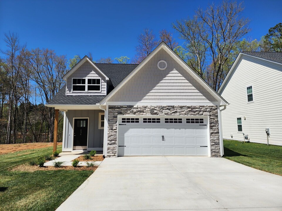 234 Slade Ln in Black Mountain, NC - Building Photo