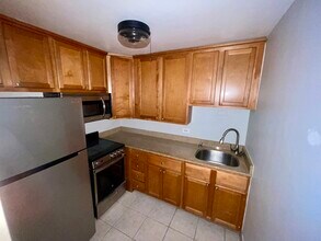 233 E Erie St, Unit #  01902 in Chicago, IL - Building Photo - Building Photo