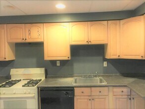 201 Birmingham Ave in Pittsburgh, PA - Building Photo - Building Photo