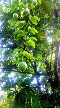 15-1414-1414 24th Ave photo'