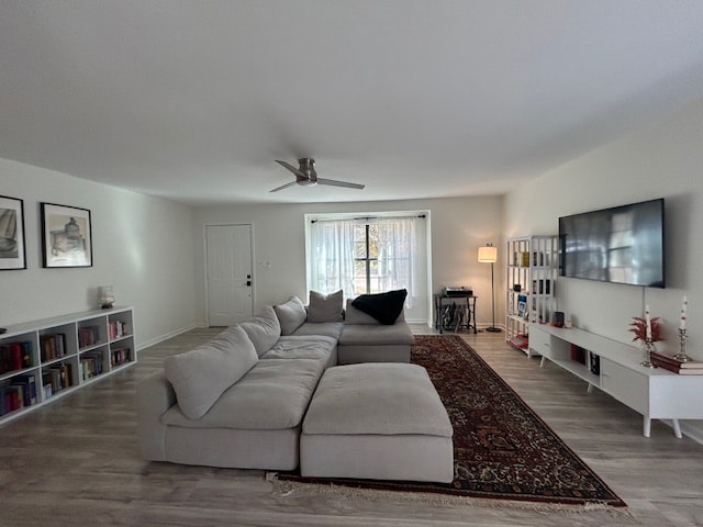 property at 806 Nelly Ln