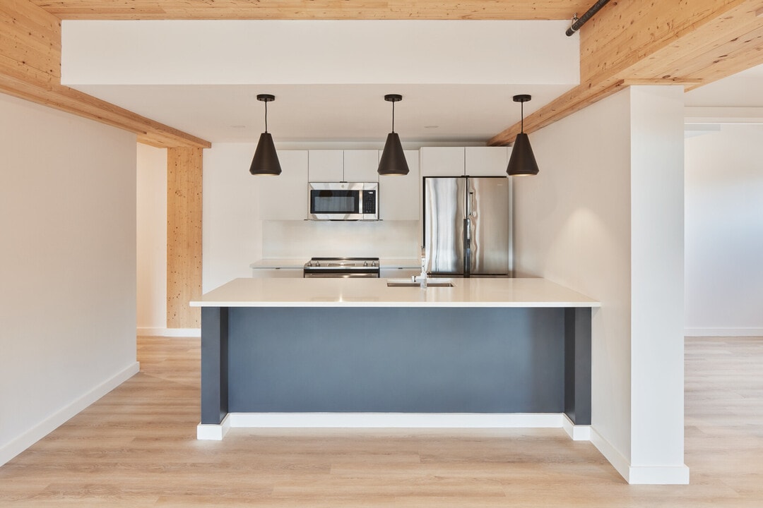 11 E Lenox St, Unit 1 in Boston, MA - Building Photo