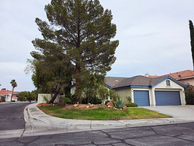 2920 Setting Sun St in Las Vegas, NV - Building Photo - Building Photo