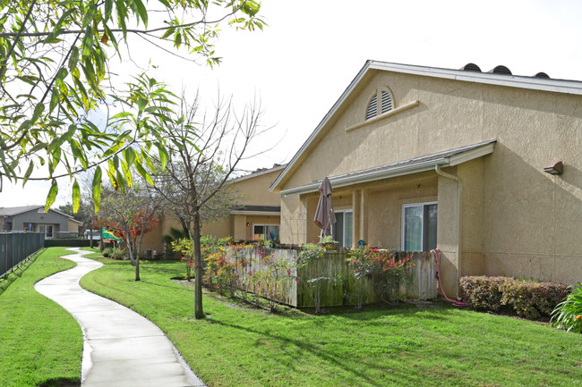 Arbor Faire Senior Apartments in Fresno, CA - Building Photo - Building Photo