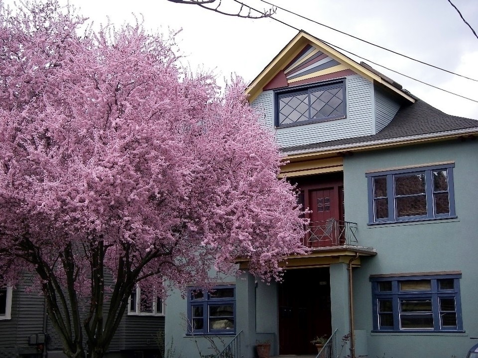 2465 NW Northrup St in Portland, OR - Foto de edificio