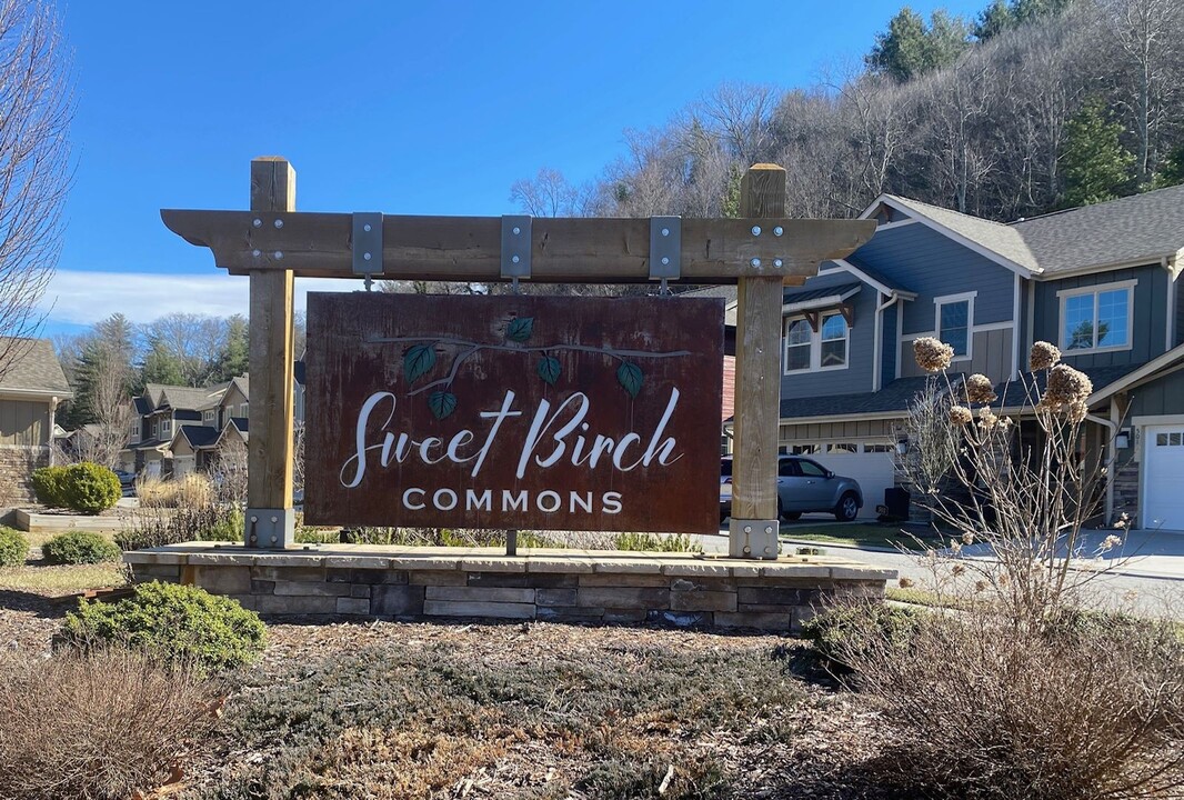 549 Sweet Birch Park Ln in Black Mountain, NC - Building Photo